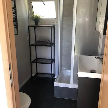 Modern Chalet In 87 Campsite Putten